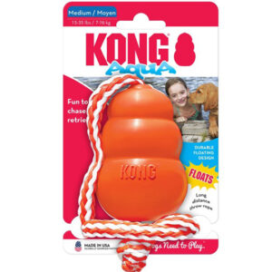 kong4